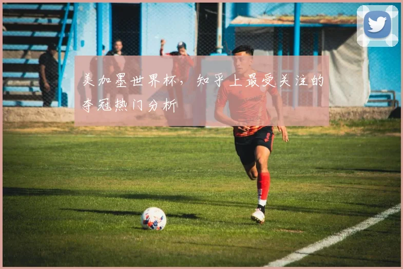美加墨世界杯,知乎上最受关注的夺冠热门分析